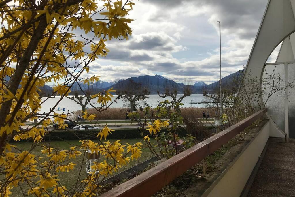 Chez Jacques - Terrasse Avec Vue Lac Et Montagne 阿讷西 外观 照片